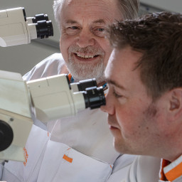 More insight into highly increased protein intake vulnerable groups