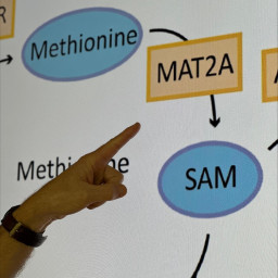 Doelgerichte behandeling baby’s met leukemie stap dichterbij