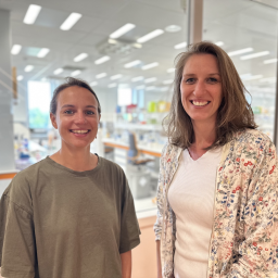Combinatietherapie brengt CAR-T voor neuroblastoom een stapje dichterbij