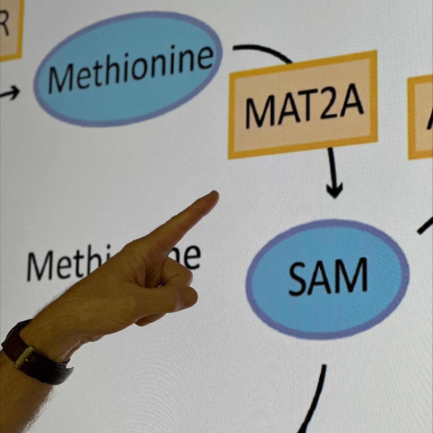 One step closer to targeted treatment for babies with leukemia